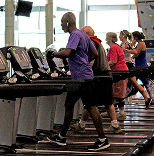People on a row of treadmills