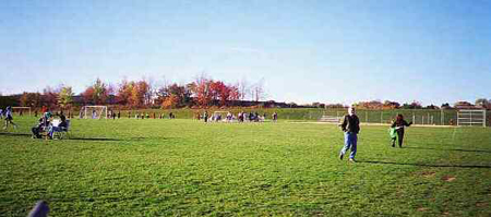 Lingle Park Field