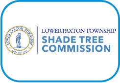 Shade Tree Commission meeting graphic