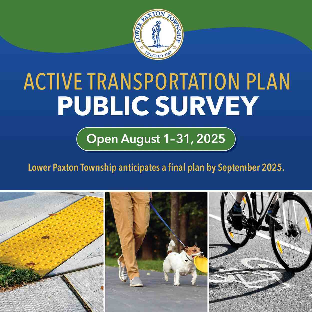 reduce-size-survey-graphic