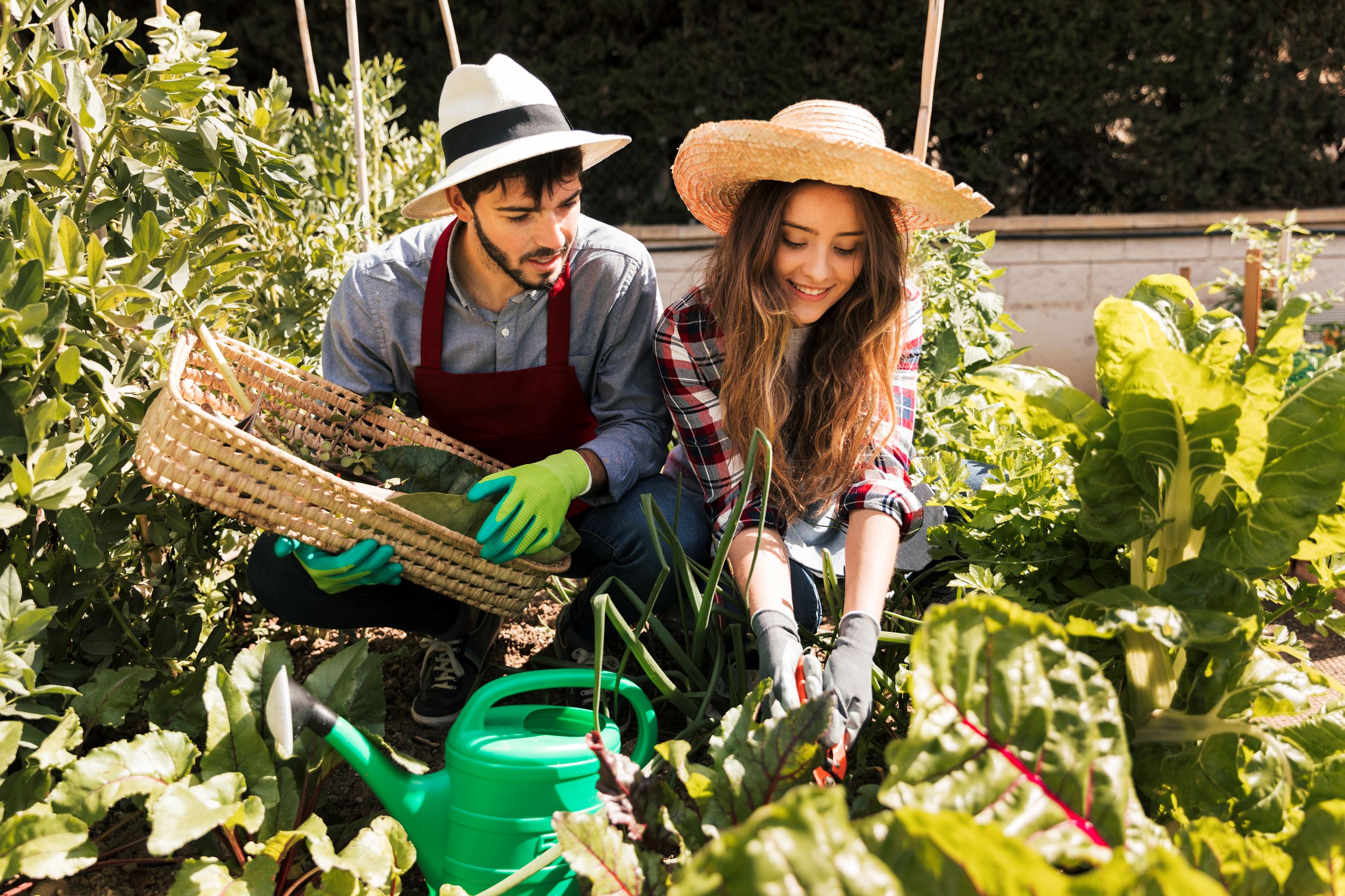 male female gardener couple working garden